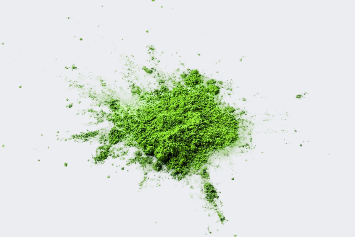 vibrant matcha tea powder made from first harvest encha leaves